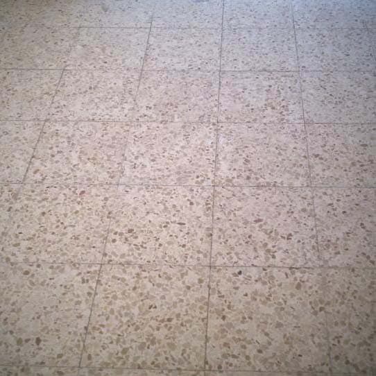 חידוש וניקיון ריצוף טרצו