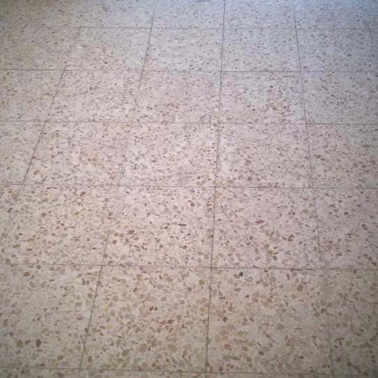 השכרת מכונת פוליש לקרצוף חידוש וניקיון של ריצוף טרצו